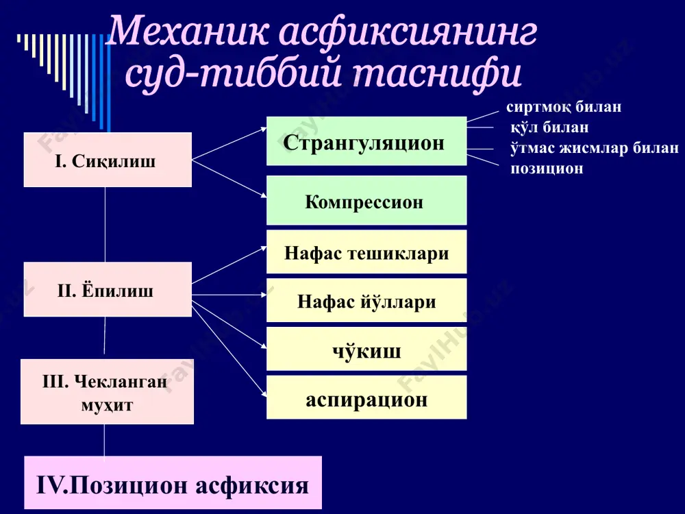 механик асфиксия. позицион асфиксия - Page 3
