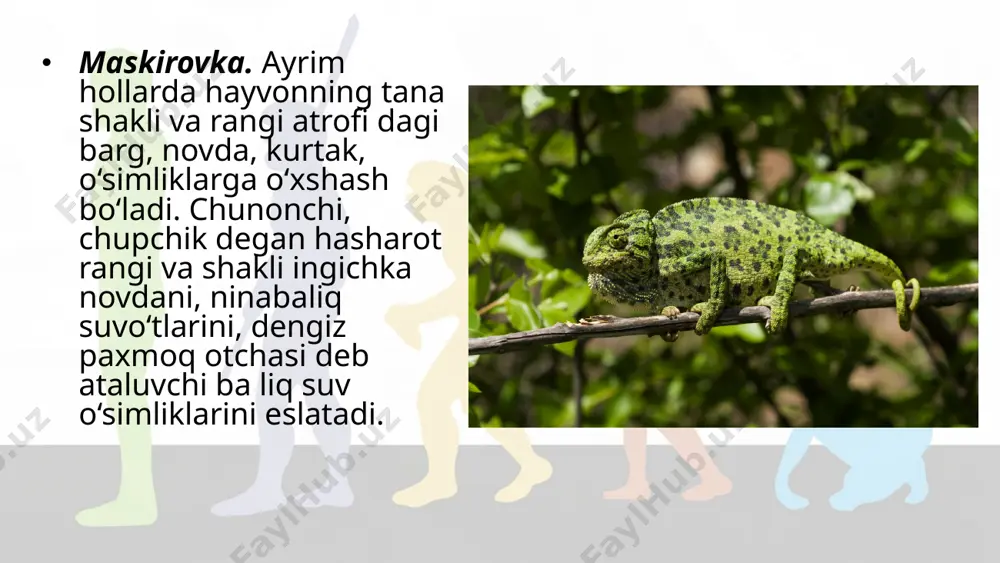 organik olamdagi moslanishlar – evolutsiya natijasi. 10 - sinf - Page 5