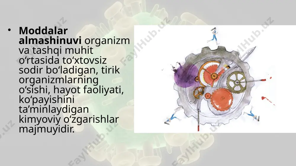 fermentlari ishtirokida o‘tadi. bu bosqichda ovqat hazm qilish organlarida ishlab chiqiladigan fermentlar ta’sirida yuqori molekulali organik birikmalar kichik molekulalarga, ya’ni oqsillar aminokislotalarga, lipidlar glitserin va yog‘ kislotalariga, polisaxaridlar esa monosaxaridlarga parchalanadi. kislorodsiz bosqich. kislorodsiz bosqich (glikoliz)da tayyorgarlik bosqichida hosil bo‘lgan kichik molekulali organik moddalar, masalan glukoza kislorod ishtirokisiz fermentlar ta’sirida parchalanadi. glikoliz – glukozaning ko‘p bosqichli kislorodsiz parchalanishidir. kislorodli parchalanish. aerob organizmlarda glikolizdan so‘ng energetik almashinuvning oxirgi bosqichi – kislorodli parchalanish sodir bo‘ladi. bunda glikoliz jarayonida hosil bo‘lgan moddalar metabolizmning oxirgi mahsulotlari (co2vah2o)gacha parchalanadi. kislorodli bosqichda 2 molekula sut kislotasining to‘liq parchalanishi natijasida 2600 kj energiya ajralib chiqadi. shundan 1440 kj energiya atfning fosfat bog‘lariga bog‘lanadi. qolgan 1160 kj energiya issiqlik sifatida tarqalib ketadi. savol va topshiriqlar: moddalar almashinuvi jarayonining mohiyati nimada? moddalar almashinuvining hujayradagi funksiyasini tushuntiring. glikoliz bosqichida bo‘lib o‘tadigan jarayonlarni tushuntiring. kislorodli parchalanish bosqichidagi reaksiyalarni tushuntiring. plastik almashinuv bilan energiya almashinuvi bir-biri bilan bog‘liqligini izohlang. image2.jpeg image3.jpeg image4.jpeg …