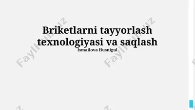 briketlarni tayyorlash texnologiyasi va saqlash — PPTX