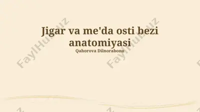 jigar va me'da osti bezi anatomiyasi — PPTX