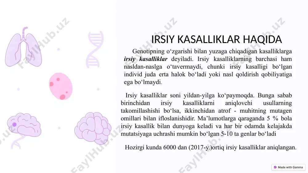 aqshda to‘liq albinizmli kishilar yashaydigan qishloq bor ular faqat kechasigina tirikchilik qiladilar, kunduzi esa uylaridan tashqariga chiqishmaydi. amerikalik olimlar ularni tibbiy ko‘rikdan o‘tkazib turishadi. hozirgi kunda ular uchun teriga surtiladigan dori yaratdilar. bu dori teriga surilgach, odam quyoshda 2 soat yurishi mumkin. 7 galaktozemiya birinchi marta galaktezemiya kasalligi haqidagi ma’lumot 1908- yilda berilgan. kasallikning kelib chiqish sabablari faqatgina 1956-yilga kelibgina ma’lum bo‘ldi. kelib chiqish sabablari: organizmda boradigan normal metobolizm jarayonida, ovqat mahsulotlari tarkibidagi laktoza, fermentlar ta’sirida glyukoza, galaktozagacha parchalanadi. galaktezimiya kasalligida ushbu jarayonni amalga oshiradigan ferment - galaktozo-l- fosfaturidiltransferaza yetarli darajada ishlab chiqarilmaydi yoki ushbu fermentni ishlab chiqarilishiga javobgar bo‘lgan genning mutatsiyaga uchraganligi sababli, umuman ishlab chiqarilmaydi. natijada turli to‘qimalarda organizm uchun toksik-zaharli bo‘lgan galaktoza-1- fosfat to‘plana boshlaydi va u jigarning kattalashib ketishiga, kataraktaning rivojlanishiga jigar sserroziga, buyrakning o‘tkir va surunkali yetishmovchiligiga hamda bosh va orqa miya hujayralarining zararlanishi oqibatida aqliy zaiflikka olib keladi. galaktozo-l-fosfatni parchalovchi galaktozo-l-fosfaturidiltransferaza fermentining yetishmasligi tufayli, …