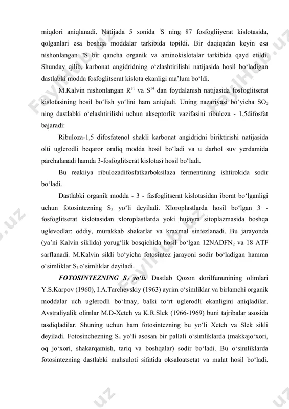 iiyerat kislotasida, qolganlari esa boshqa moddalar tarkibida topildi. bir daqiqadan keyin esa nishonlangan "s bir qancha organik va aminokislotalar tarkibida qayd etildi. shunday qilib, karbonat angidridning о‘zlashtirilishi natijasida hosil bо‘ladigan dastlabki modda fosfoglitserat kislota ekanligi ma’lum bо‘ldi. m.kalvin nishonlangan r31 va s14 dan foydalanish natijasida fosfoglitserat kislotasining hosil bо‘lish yо‘lini ham aniqladi. uning nazariyasi bо‘yicha so2 ning dastlabki о‘elashtirilishi uchun akseptorlik vazifasini ribuloza - 1,5difosfat bajaradi: ribuloza-1,5 difosfatenol shakli karbonat angidridni biriktirishi natijasida olti uglerodli beqaror oraliq modda hosil bо‘ladi va u darhol suv yerdamida parchalanadi hamda 3-fosfoglitserat kislotasi hosil bо‘ladi. bu reakiiya ribulozadifosfatkarboksilaza fermentining ishtirokida sodir bо‘ladi. dastlabki organik modda - 3 - fasfoglitserat kislotasidan iborat bо‘lganligi uchun fotosintezning s3 yо‘li deyiladi. xloroplastlarda hosil bо‘lgan 3 - fosfoglitserat kislotasidan xloroplastlarda yoki hujayra sitoplazmasida boshqa uglevodlar: oddiy, murakkab shakarlar va kraxmal sintezlanadi. bu jarayonda (ya’ni kalvin siklida) yorug‘lik bosqichida hosil bо‘lgan 12nadfn2 va 18 atf sarflanadi. m.kalvin sikli bо‘yicha fotosintez …