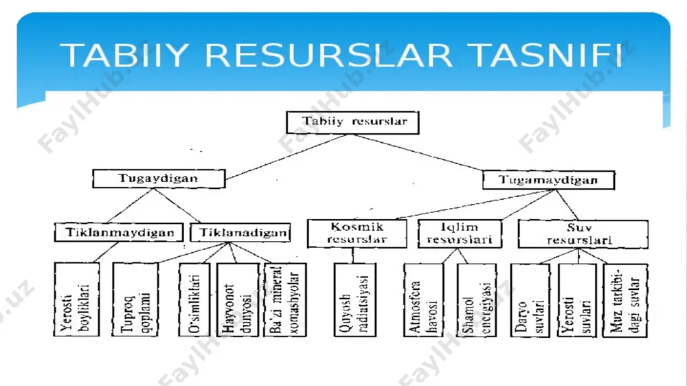 tabiiy resurslar tasnifi 2 - Page 5