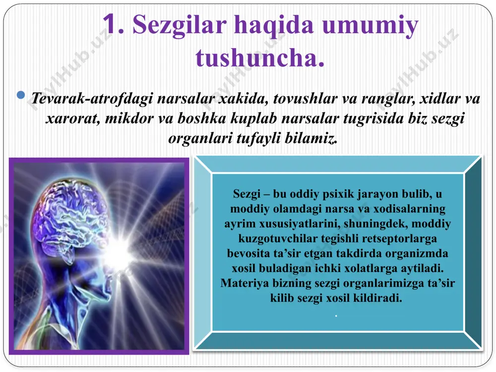 sezgilar haqida umumiy tushuncha - Page 3
