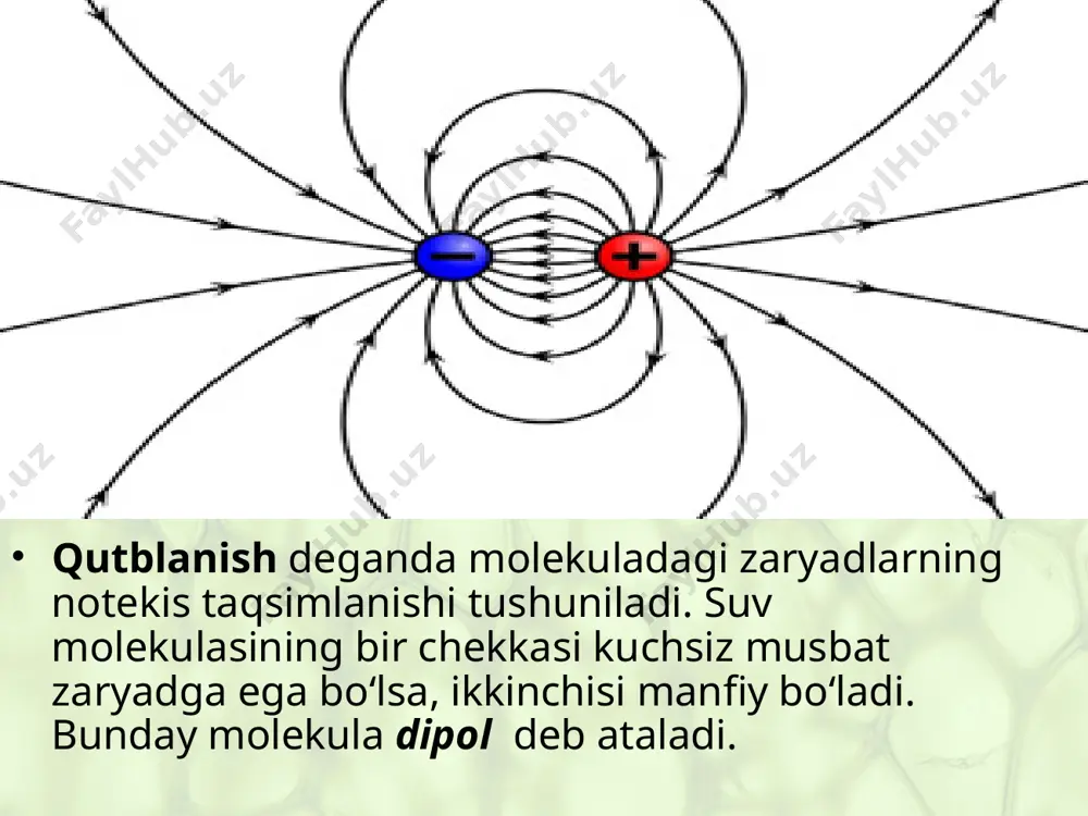 hujayrada suvning ahamiyati - Page 4