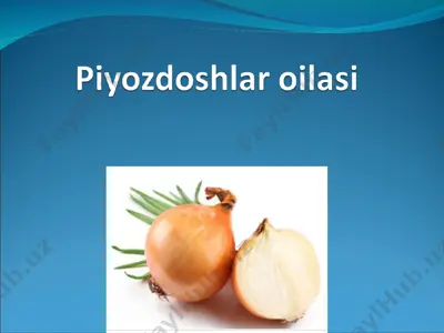 piyozdoshlar oilasi — PPT