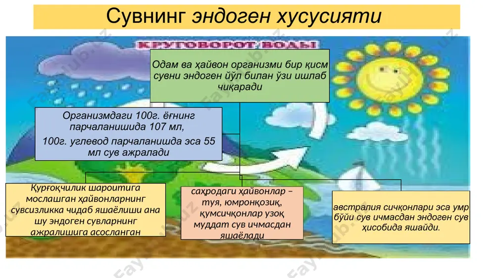 дали моддаларни ўзида жамлаган сув бу қудуқ суви ҳисобланади. инсон ўз қўли билан бундай аралашмани тайёрлай олмайди. 3. дунёдаги энг қиммат сув лос-анжелесда сотилади. бу сувнинг 1 литри 90 доллар туради. сувни кристаллар билан безатилган махсус идишларда сотишади. ёшлар бу сувни асосан идишига қизиқиб сотиб олади. 4. одам ҳаёти давомида тахминан 35 тонна сув ичади. сув ҳақида қизиқарли фактлар 5. агар кунига беш стакандан ортиқ сув ичсангиз, юрак хуружи хавфи ортга чекина бораркан. бундай фойдали сув эса фильтрланган ичимлик суви саналади. 6. югославияда циркницкое деган кўл бор. кўл суви ёздан қишга қадар ғойиб бўлади. баҳорда эса ичида балиғи билан яна пайдо бўлаверади. 7. сув табиатда уч хил кўринишга эга. яъни, қаттиқ кўриниш (муз), суюқ ва газ кўриниши. ер юзида экологик тоза сув атиги уч фоизни ташкил этади. у ҳам улкан музликлар таркибида бўлади. 8. энг серсув маҳсулот бу тарвуздир. тарвузнинг 93 фоиз қисми сувдан иборат бўлади. сув ҳақида қизиқарли фактлар …