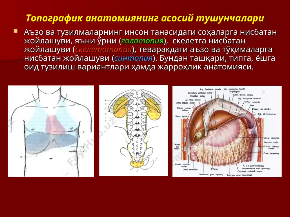 toq ravishda ajratish orqali amalga oshiriladi. ikkinchi element — to'qimalarni birlashtirish, operatsiya jarayonida yoki kasallik yoxud shikast oqibatida buzilgan strukturalarning butunligini tiklash uchinchi element ― zararlangan tomirlardan qon oqishini to'xtatish. operatsiyaga ko'rsatmalar absolyut ko'rsatmalar. bunda bemorga davolashning operatsiya uslubidan boshqa yordam bera olish yo'li yo'q bo'lganda shifokorni operatsiya qilishga majbur qiluvchi holatlar. masalan, siqilgan churralar, magistral qon tomirning yorilib ketishi, qo'l-oyoq gangrenasi kabilar. nisbiy ko'rsatmalar konservativ yo'l bilan davolab bo'lmasada, operatsiya uchun qulay paytni tanlashga, operatsiyaga mavjud moneliklarni bartaraf qilishga imkon beruvchi holatlar. operatsiyani o'tkazish rejasi kasallik tashxisini to'g'ri aniqlash. og'riqsizlantirish usulini tanlash. kasallangan a'zoga muqobil ochib kirish yo'lini tanlash. kasallikka mos keluvchi operatsiya amaliyotini tanlash. operatsiyadan keyingi parvarishni to'g'ri tashkil qilish. operatsiya natijalarini tanqidiy baholash. n.k.burdenko triadasi anatomik qulaylik. fiziologik ruxsat – a'zo funktsiyasini operatsiyadan keyin u yoki bu darajada saqlab qolish imkoni texnik imkoniyat – jarrohlik aralashuvining murakkab bosqichlarini mexanizatsiyalash. jarrohlik operatsiyalari turlari ekstren (urgent, shoshilinch); rejali; radikal; …