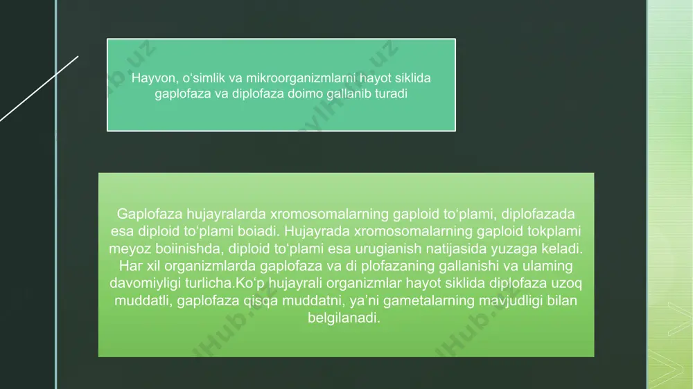 latda boiib, diplofaza nihoyatda reduksiyalashgan holatdadir z image4.png image5.png image2.png image3.png