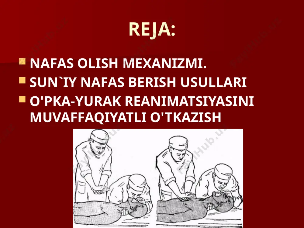 aks holda reanimatsiyaning qolgan elementlarini bajarish befoyda. koma va narkoz paytlarida yoki behush bo'lgan bemorlarda til orqaga ketib, nafas yo'llarini berkitib qo'yadi. og'ir jarohatlar natijasida singan tishlar, ezilgan to'qimalar, balg'am va laxta qon, qusuq mahsulotlari ham nafas yo'llarini berkitib qo'yadi. laringospazm, bronxospazmlar, nafas yo'lining qisilishi va allergiyalarda nafas yo'llari shishib, berkilib qolish hollari sodir bo'ladi. nafas yo'llarining bunday berkilib qolishiga mexanik berkilish yoki asfiksiya deyiladi. mexanik berkilish to'liq va qisman bo'lib, to'liq berkilganda, o'pkaga umuman nafas o'tmaydi, bemor ko'kargan bo'ladi, og'ziga havo yuborilganda ko'krak qafasi ko'tarilmaydi. qisman berkilganda havo yuborilganda yoki bemor o'zi nafas olsa, qovurg'alar orasi kengayadi, nafas olishda nafas mushaklari qatnashadi, bemorda gipoksiyaklinikasi ko'zga tashlanadi. birinchi navbatda nafas yo'llarini tozalash uchun bemor tekis va qattiq joyga chalqanchasiga yotqiziladi, qisgan kiyimlari yechiladi va muolaja quyidagicha bajariladi: bemorning bo'yni orqaga maksimal qayiriladi; jag'i oxirigacha ko'tariladi; pastki va yuqorigi jag'i oldinga chiqariladi. shunda nafas yo'llarida qarshilik kam bo'ladi. yurakni yopiq usulda …