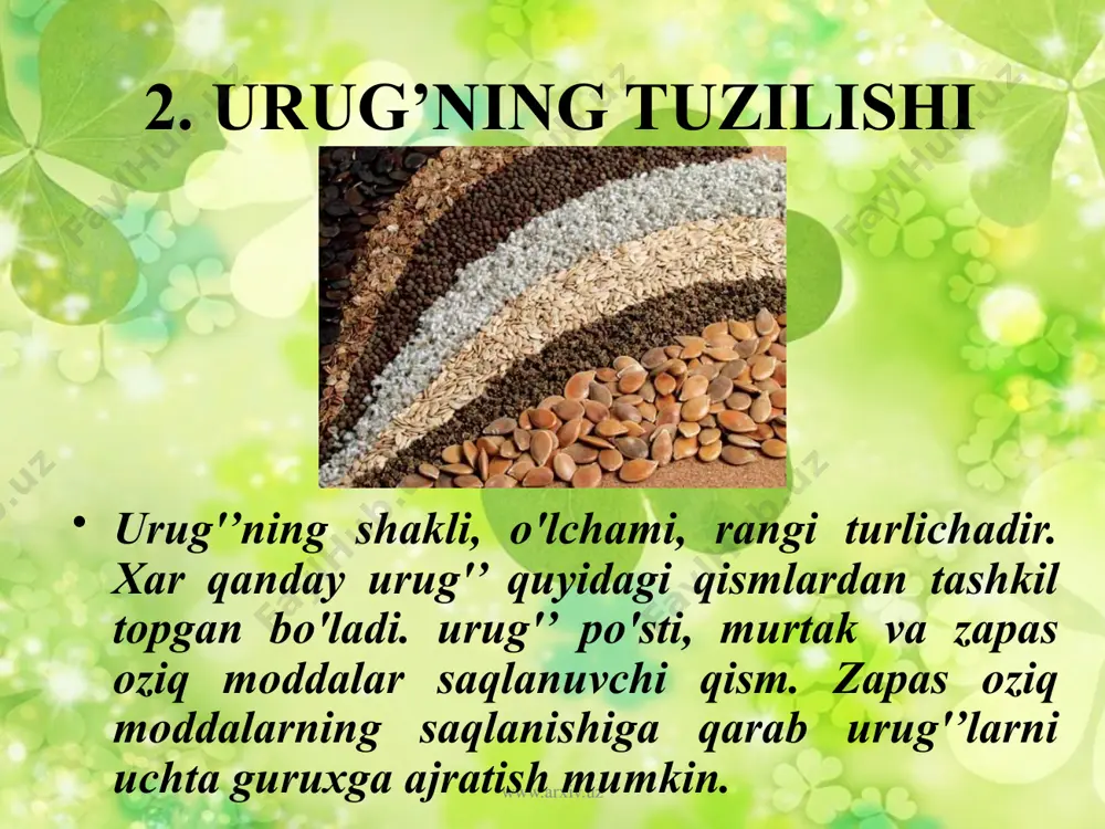 tayyorlashda, yog’ olishda, nonvoychilikda foydlaniladi. meditsinada dori tayyorlashda. ko'pchilik o'simlik urug’lari ekin dalalarini begona o'tlar bilan ifloslanishga olib kelsa, ko'pchilik urug’lar zaxarli xisoblanadi. www.arxiv.uz 4. meva xaqida tushuncha urug’chi tugunchasining rivojlanishi natijasida xosil bo'ladigan, o'zida urug’ saqlagan organga meva deyiladi. meva faqat yopiq urug’li o'simliklar uchun xosdir. mevaning shakli, o'lchami. rangi turlichadir. uning vazifasi urug’ni ximoya kilish tarqalishiga xizmat qilishidir. qo'sh urug’lanish jarayonidan keyin urug’chi qismlari o'zgarib ketadi. natijada tuguncha devori o'zgarib meva qatini xosil qiladi. www.arxiv.uz meva qavati quyidagi asosiy qismlardan tuzilgan bo'ladi. mevaning tashqi qavati - ekzokarpiy. mevaning o'rta qavati -mezokarpiy. mevaning ichki qavati -endokarpiy. ekzokarpning asosiy vazifasi mevani ximoya qilishga xizmat qilishidir. mezokarpiy zapas oziq moddalarni saqlashga xizmat qilib, boshqa qavatlariga nisbatan yaxshi rivojlangan bo'ladi. endokarpiy urug’ni tashqi tomonidan o'rab turishga xizmat qiladi. www.arxiv.uz xulosa urug'’ning shakli, o'lchami, rangi turlichadir. xar qanday urug'’ quyidagi qismlardan tashkil topgan bo'ladi. urug'’ po'sti, murtak va zapas oziq moddalar saqlanuvchi qism. …