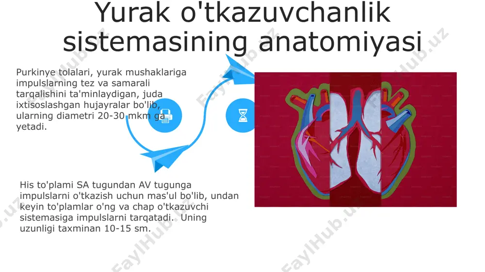 larning yon ta'siriga bog'liq bo'lishi mumkin. yurak ritmining buzilishi (aritmiya) turli sabablarga, jumladan, elektrolitlar muvozanatining buzilishi, yurak kasalliklari va dorilarning yon ta'siriga bog'liq bo'lishi mumkin. miokard infarkti miokard infarkti ko'pincha 70 yoshdan oshgan erkaklarda uchraydi va qon tomirlarining ateroskleroziga bog'liq bo'lib, yurak mushaklarining 40% dan ortig'ini shikastlashi mumkin. miokard infarktining asosiy sababi koronar arteriyalarining trombozi bo'lib, bu miyokard hujayralarining kislorod etishmasligiga va nekroziga olib keladi, o'lim darajasi 20% dan yuqori bo'lishi mumkin. endokardit endokardit tashxisi uchun transesofageal ekokardiyografi (tee) kabi tasviriy diagnostika usullari, shuningdek, qon madaniyati va klinik tekshiruvlar muhim ahamiyatga ega. yurak klapanlarining shikastlanishi, masalan, revmatik isitma yoki avvalgi yurak jarrohligi, endokardit xavfini sezilarli darajada, 20 barobarga oshiradi. e'tiboringiz uchun rahmat @taqdimot_robot image5.jpg image6.jpg image7.jpg image8.jpg image9.jpg image10.jpg image11.jpg image12.jpg image13.jpg image14.jpg image15.jpg image16.jpg image17.jpg image18.jpg image19.jpg image20.jpg image21.jpg image1.jpeg image2.jpeg image3.jpeg image4.jpeg