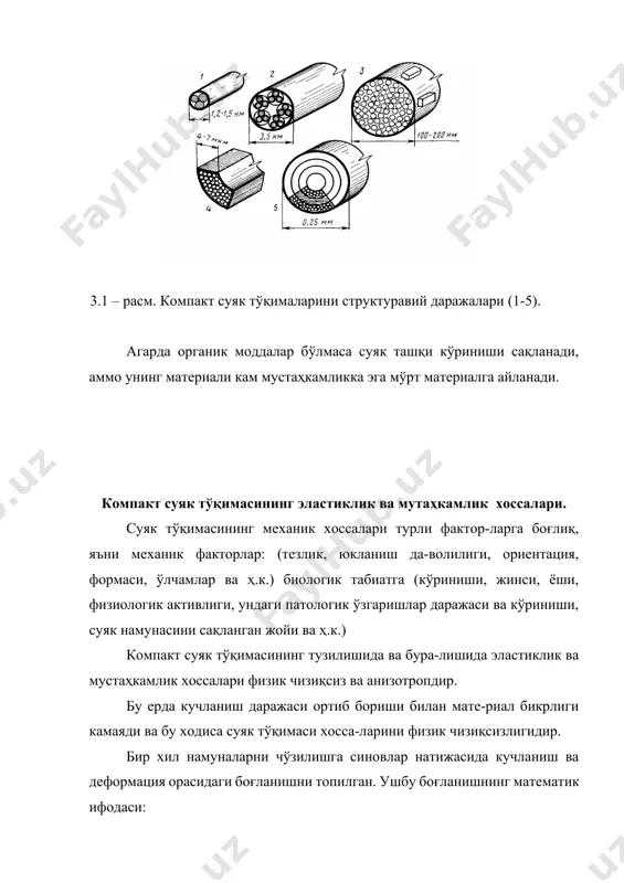 ларнинг сиқилишдаги мустаҳкамлиги юқоридир. масалан: сон суякнинг бўйламасига юк кўтариш қобилияти эркакларда 45000 н ва аёлларда 39000 н ни ташкил этади. скелетнинг турли жойларидан олинган компакт суяк тўқималари намуналарида сиқилишда чекли кучланиш миқдори 120 дан 170 мпа гача бўлади. суякларни эгилишдаги юк кўтариш қобилияти сезиларли даражада камдир, яъни 2500 н. тажрибалардан аниқланганки, 25-35 ёшларда суякнинг бу-ралишга бўлган мустаҳкамлиги энг юқори бўлади, яъни 105,4 мпа ни ташкил этади. 75 дан 89 ёшларда бу кўрсаткич ўртача 90,3 мпа ни ташкил этади. бу ўзгариш суякдаги ғоваклик ортиб бориши ҳисобига рўй беради. буралишдаги емирувчи буровчи момент қиймати ўртача 120 нм ни ташкил этади. компакт суяк тўқимасининг ёйилувчанлик (ползучестp) характери назарий ва тажрибалар асосида текширилган. тажриба натижалари шуни кўрсатадики, намунага қўйилган чўзувчи кучланиш бир зумлик бўйлама деформацияни ҳосил қилади. бунга эластиклик модули мпа га тенг бўлади. 200 мин. давом этадиган ёйилувчанлик жараёнида деформация 0,66% га тенглашади. 200 мин.дан кейин юк олиниши биланоқ намунада бошланғич ўлчамлари …