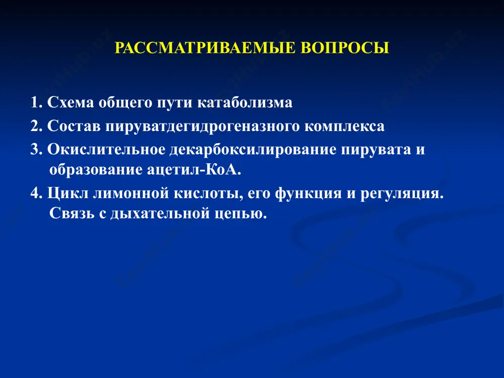 фадн2 при помощи ферментов дегидрогеназ. в этом процессе образуются энергия необходимое для жизнедеятельности. в составе пищевых продуктов нет готовых водородных атомов, они образуются при катаболизме пищевых продуктов. различают две пути катаболизма: специфические пути катаболизма свойственной для отдельных классов веществ. общий путь катаболизма. к общему пути катаболизма относится окислительное декарбоксилирование пвк и цитратный цикл. именно в общем пути катаболизма образуются основная масса первичных доноров водорода для дыхательной цепи. в результате окислительного декарбоксилирования пирувата образуются ацетил-коа, восстановленный над и диоксид углерода. северин стр.282, рис.6-19 окислительное декарбоксилирование пирувата 12 12 глюкоза пируват гликолиз глицерол амино- кислоты ацетил coa 13 13 транспорт пирувата в митохондрию 14 14 пируватдегидрогеназный комплекс - поли-ферментный комплекс, который состоит из 3 ферментов, 5 коферментов превращение пирувата в ацетил соа пируватдегидрогеназный комплекс - молекулярная масса от 4 до 10 млн дальтон электронная микрофотография пируватдегидрогеназного комплекса e. coli. 15 15 ферменты: e1 = пируватдегидрогеназа e2 = дигидролипоилацетилтрансфераза e3 = дигидролипоилдегидрогеназа коферменты: …