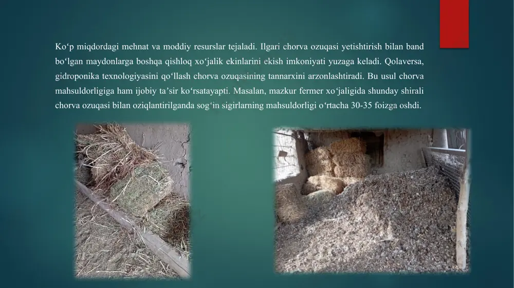 xo’jalikda ozuqa yetishtirish - Page 3