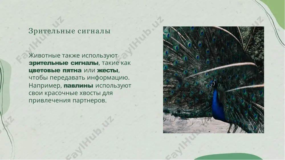 сигнальные системы - Page 5