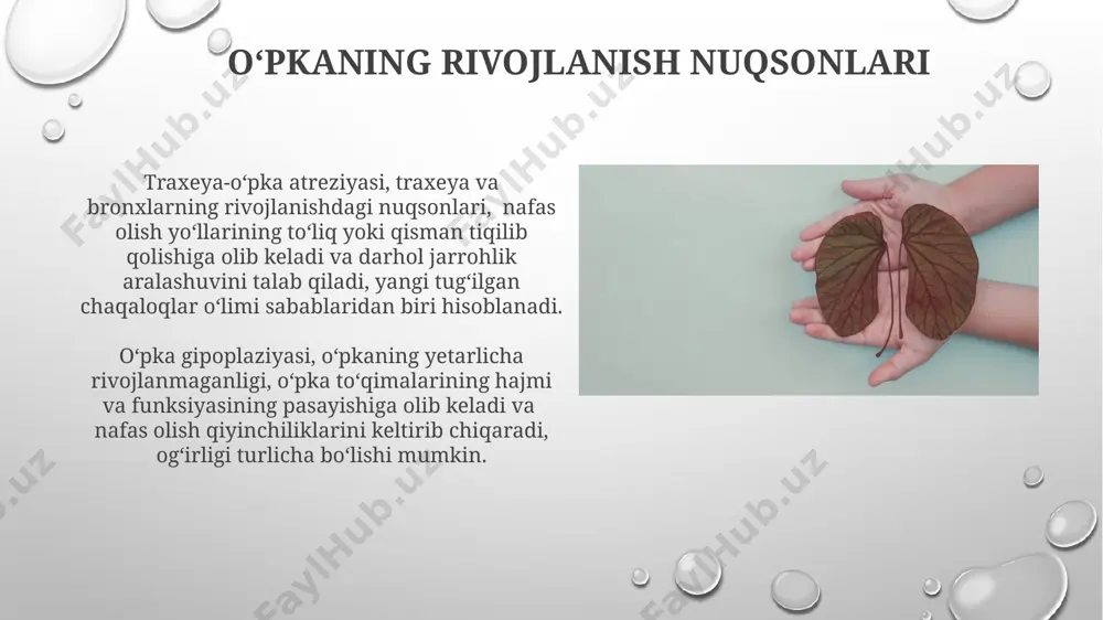 nafas olish jarayoni - Page 4