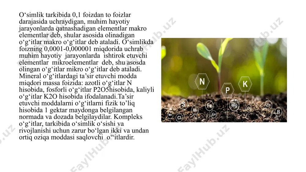 at kislota va ammoniy tuzlari azotning asosiy manbai hisoblanadi.o‘simliklar tuproq eritmasida va almashinib singdirilgan holatda bo‘lgan no3- anioni va nh4+ kationlarni o‘zlashtiradi.o‘simlikka o‘tgan azotning mineral shakllari murakkab o‘zgarishlar sikliga uchraydi va nihoyat organik azotli birikmalar - aminokislotalar, amidlar va oqsillar tarkibiga kiradi.nitratlar o‘simlikda bosqichma-bosqich bir nechta fermentlar ta’sirida ammiakgacha qaytariladi. hno3 → hno2→ (hno)2→ nh2oh→nh3 nitrat nitrit giponitrit gidroksilamin ammiak tarkibida molibden, mis, temir va marganets mikroelementlari bo‘lgan nitratreduktaza, giponitritreduktaza, gidroksilamin reduktaza fermentlari ishtirokida quyidagi reaksiyalar ro‘y beradi. nho3 + n2 nitratreduktaza nho2 + h2 o 2hno2 + 2n2 nitritreduktaza (hno)2 + 2h2 o (hno)2 + 2n2 giponitritreduktaza 2hn2 oh 70 hn2 oh + n2 gidroksilaminoreduktaza nh3 + h2o nitratlar o‘simliklar uchun zaharsiz va ular to‘qimalarda ko‘p miqdorda to‘planishi mumkin.bu holat fotosintez jarayoni sust, o‘simlik tarkibida uglevod va fermentlar kamligi tufayli nitratlarni ammiakkacha tiklanishi hamda aminokislotalar va oqsillar oz hosil bo‘lishi natijasida uchraydi. qattiq ammoniyli o‘g‘itlar. ammoniy sulfat - (nn4)2so4. …