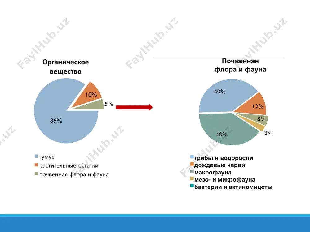 из неповрежденные исходные ткани растений и животных к существенно разложившейся смеси материалы, известные как гумус (рис. 1). большая часть органического вещества почвы образуется из растительной ткани. растительные остатки содержат влажность 60-90%. остальные сухое вещество состоит из углерода (с), кислорода, водород (h) и небольшое количество серы (s), азот (n), фосфор (p), калий (k), кальций (ca) и магний (mg). хотя они присутствуют в небольшом количестве, они питательные вещества очень важны для с точки зрения управления плодородием почвы. введение: o'zbekiston milliy universiteti, 2022 компоненты органического вещества почвы и их функции (рис 2) o'zbekiston milliy universiteti, 2022 органическое вещество почвы частично разложившиеся растительные и животные остатки живые организмы почвенный двигатель неизменный материал потенциальная пища организмов преобразованные продукты негуминовые вещества еда и энергия "клей" гуминовые вещества банк питательных веществ буфер в любой момент времени это состоит из ряда материалов из неповрежденные исходные ткани растений и животных к существенно разложившейся смеси материалы, известные как гумус (рис. …