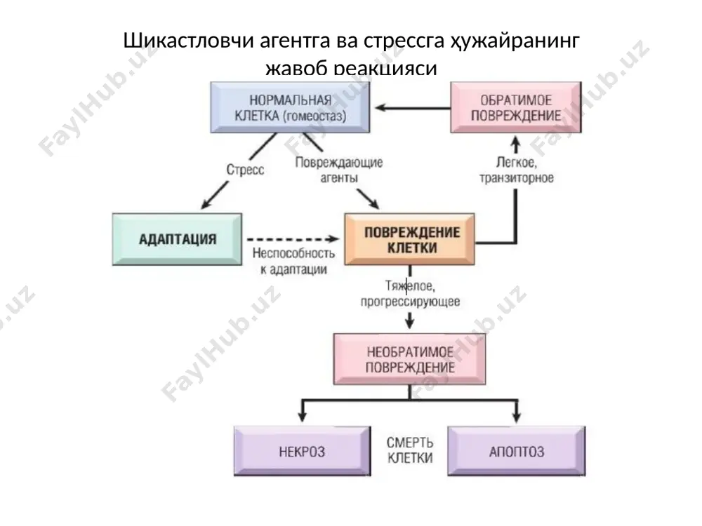 tўқима ўсиши патофизиологияси - Page 5