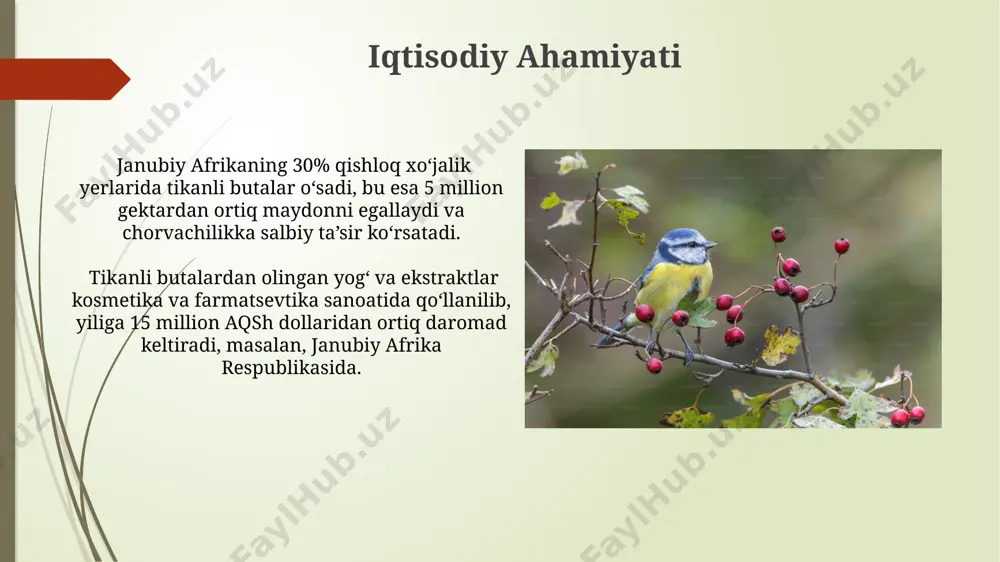 roq eroziyasini kamaytirishdagi samaradorligini 10 gektarlik maydonda eksperimental ravishda tekshirish va natijalarni samarqand viloyatining turli landshaftlarida taqqoslash rejalashtirilgan. e'tiboringiz uchun rahmat @taqdimot_robot image1.jpg image2.jpg image3.jpg image4.jpg image5.jpg image6.jpg image7.jpg image8.jpg image9.jpg image10.jpg image11.jpg image12.jpg image13.jpg image14.jpg image15.jpg