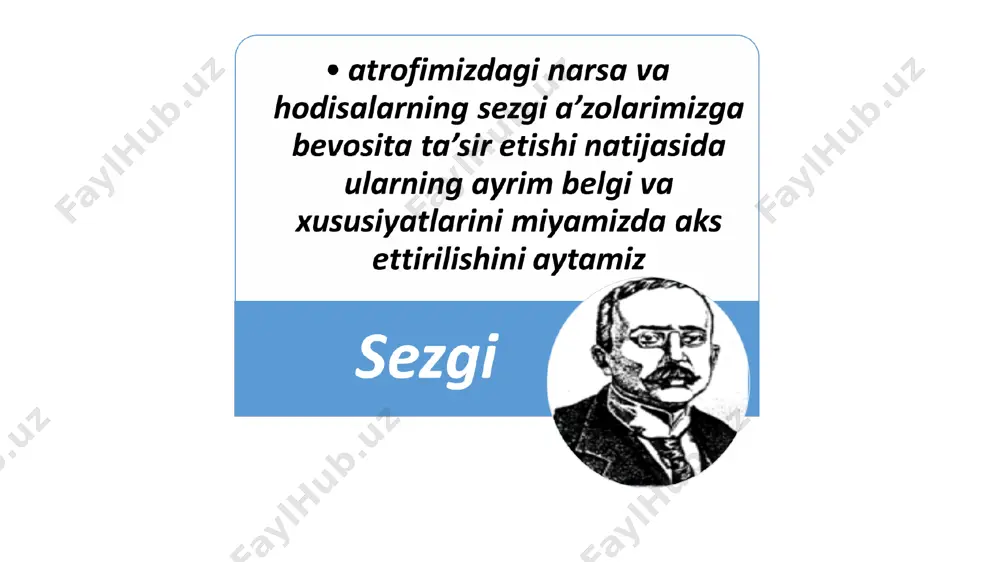 sezgi - Page 4