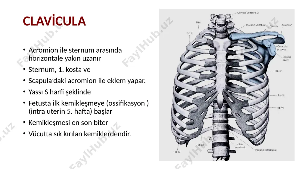 imsel ve öğretim amaçları dışında kullanılması yasaktır. bu amaçlar dışında kullananlar, yayanlar, çoğaltanlar ve satışa sunanlar 5846 sayılı fikir ve sanat eserleri kanunu gereğince tazminat sorumluluğu ve cezai yaptırımla karşılaşabilirler. bu eylemlerin düşünce hırsızlığı olduğu unutulmamalıdır! image1.gif image2.jpeg image3.jpeg image4.png image5.png image6.png image7.emf image8.emf image9.gif image10.gif image11.gif image12.png image13.png image14.png image15.png image16.png image17.png image18.png image19.png image20.png image21.jpeg image22.emf image23.emf image24.jpeg image25.gif /docprops/thumbnail.jpeg