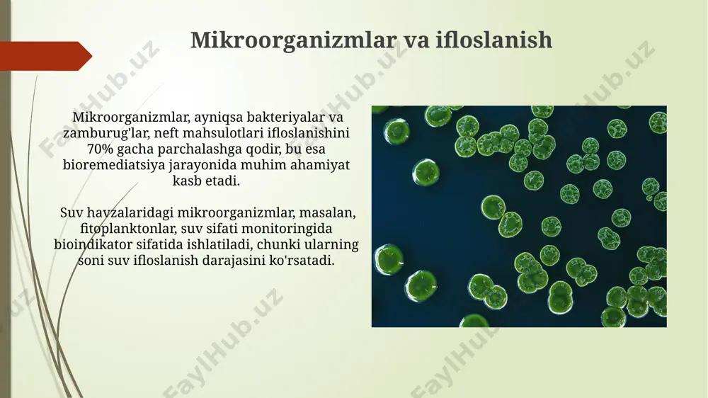 mikroorganizmlarning tashqi muhitga ta'siri - Page 5