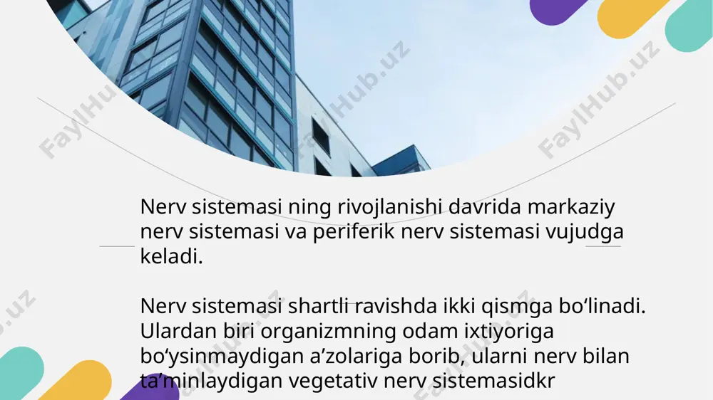 nerv sistemasi - Page 5