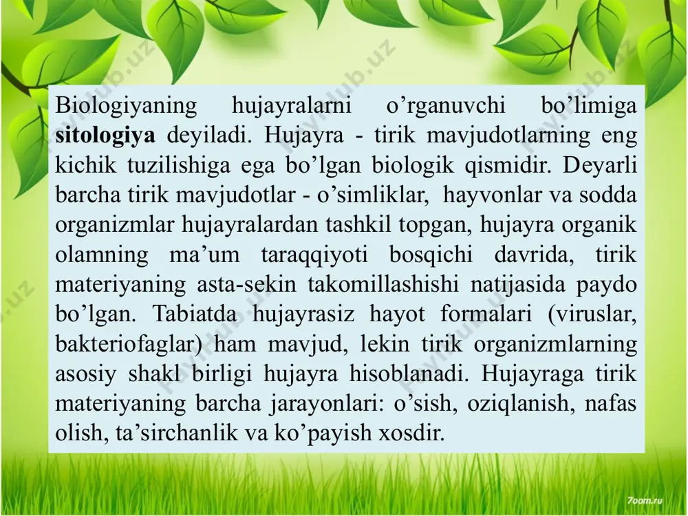 uvo’tlari) hujayralarining o’lchami 10 mkm dan oshmaydi, ko’pincha 2-3 mkm oralig’ida bo’ladi. prokariot organizmlarning hujayralari oddiy bo’linish yo’li bilan ko’paysa, eukariot organizmlarning hujayralari mitoz va mеyoz yo’llari bilan ko’payadi. prokariot hujayralarining ribosomalari o’lchamlari va oqsillarning soni jihatdan eukariotlarning hujayra ribosomalaridan farq qiladi. prokariot hujayralarda sitoplazmaning xususiyatlaridan bo’lgan - fagotsitoz (biror yot tanachalarni qamrab olish), pinotsitoz (erigan moddalarni hamrab olish va shimish) va sikloz (tsitoplazmaning aylanma harakati) kabi eukariot hujayralarga xos bo’lgan xususiyatlar kuzatilmaydi. prokariot hujayralar moddalar almashinish jarayonida askarbin kislotaga muhtoj bo’lmaydi, eukariot hujayralar esa askarbin kislotasiz moddalar almashish jarayoni bo’lmaydi. harakatlanuvchi prokariot hujayralar va eukariot hujayralar harakatlanish turi jihatidan ham bir-biridan farq qiladi. o’simliklar, hayvonlar, zamburug’lar - eukariotlar gurug’i vakillari bo’lsalar ham ularning hujayralari tuzilishi jihatidan bir-biridan farq qiladi. o’simlik hujayralarining shakli, o’lchami, o’simlik tanasida joylashgan joyiga, bajaradigan vazifasiga qarab turli-tuman bo’ladi. masalan, organlar ustki tomondan qoplab turuvchi hujayralar tеkis, mеxanik tolalar ingichka va cho’ziq, bo’lsa, mеvalarning yumshoq qismini …