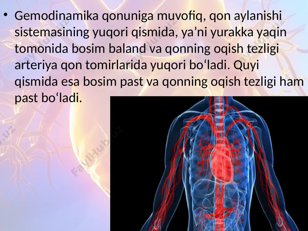 qonning tomirlar bo‘ylab harakatlanishi. 8 - sinf - Page 3