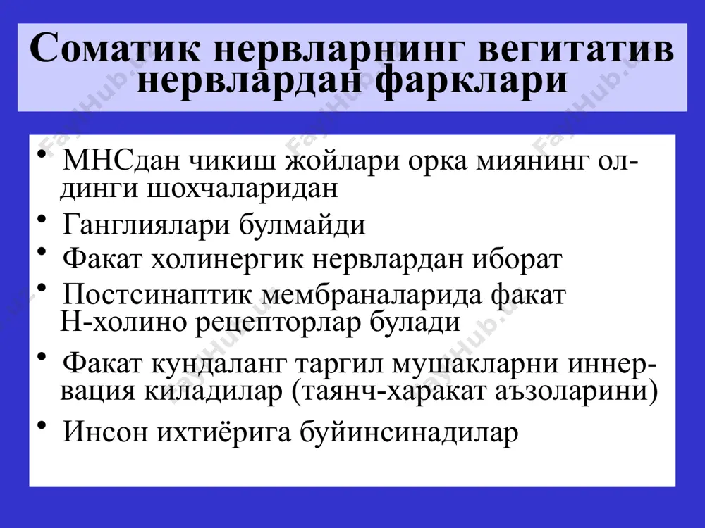 эфферент иннервацияга таъсир этувчи воситалар - Page 5