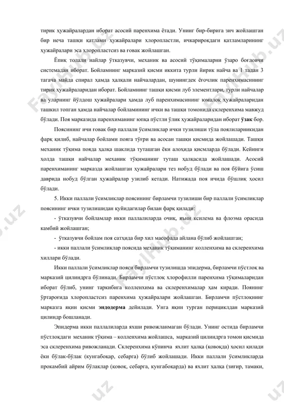 оқдаги қатламларининг ҳужайралари эса хлоропластсиз ва ғовак жойлашган. ёпиқ толали найлар ўтказувчи, механик ва асосий тўқималарни ўзаро боғловчи системадан иборат. бойламнинг марказий қисми иккита турли йирик найча ва 1 тадан 3 тагача майда спирал ҳамда ҳалқали найчалардан, шунингдек ёғочлик паренхимасининг тирик ҳужайраларидан иборат. бойламнинг ташқи қисми луб элементлари, турли найчалар ва уларнинг йўлдош ҳужайралари ҳамда луб паренхимасининг юмалоқ ҳужайраларидан ташкил топган ҳамда найчалар бойламининг ички ва ташқи томонида склеренхима мавжуд бўлади. поя марказида паренхиманинг юпқа пўстли ўлик ҳужайраларидан иборат ўзак бор. поясининг ичи ғовак бир паллали ўсимликлар ички тузилиши тўла поялиларникидан фарқ қилиб, найчалар бойлами пояга тўғри ва асосан ташқи қисмида жойлашади. ташқи механик тўқима пояда ҳалқа шаклида туташган ёки алоҳида қисмларда бўлади. кейинги ҳолда ташқи найчалар механик тўқиманинг туташ ҳалқасида жойлашади. асосий паренхиманинг марказда жойлашган ҳужайралари тез нобуд бўлади ва поя бўйига ўсиш даврида нобуд бўлган ҳужайралар узилиб кетади. натижада поя ичида бўшлиқ ҳосил бўлади. 5. икки паллали ўсимликлар …