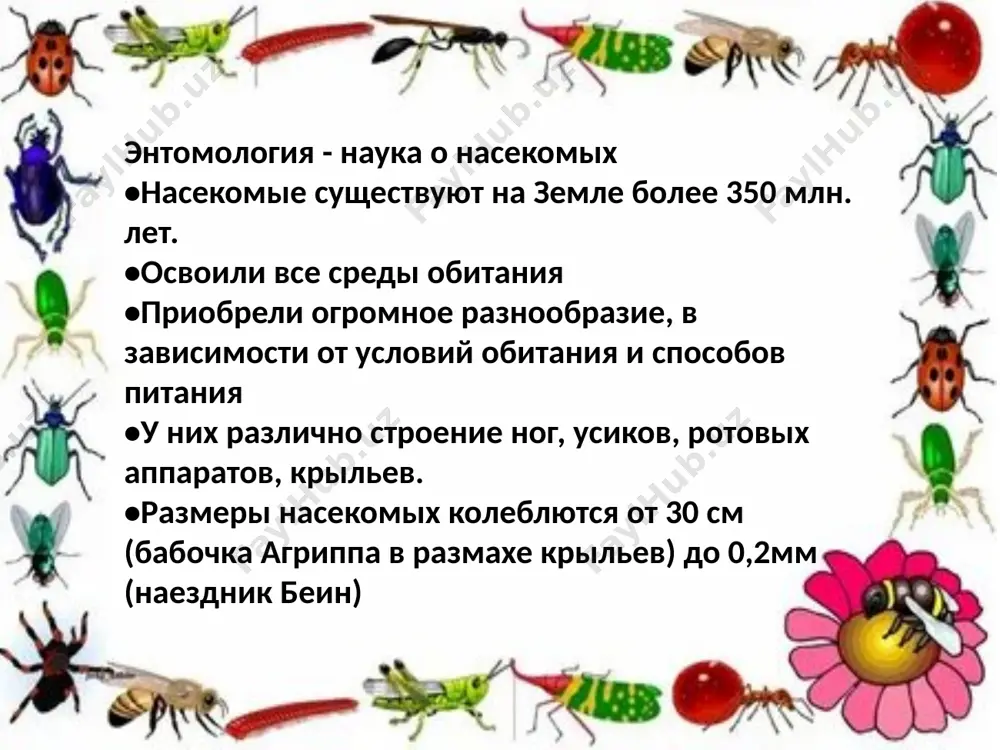 дециметр, сантиметр, миллиметр - Page 2