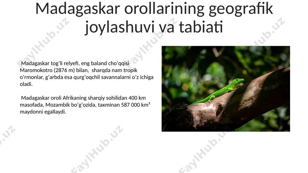 madagaskar orollari haqida - Page 5