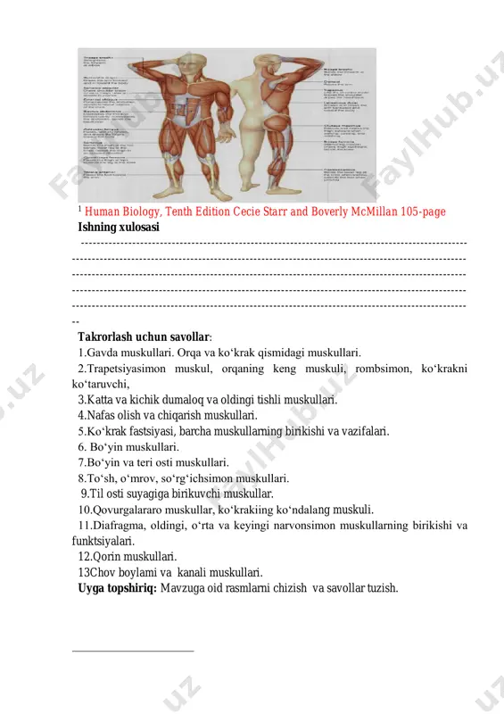 r ham mavjud bo’lib, bunday richagga tirsak bo’g’imi misol bo’la oladi. bunda bilakni bukuvchi ikki boshli muskul va yelka muskullari qisqarganda tirsak bo’g’imi bukiladi. tayanch nuqtasi tirsak bo’g’imi sohasida, kuch qo’yiladigan nuqta (ya’ni bilakni bukuvchi muskullarning birikuvchi joyi) esa tayanch nuqtasidan bir oz oldinroqda bo’ladi. demak, qarshilik yuk qo’yilgan yelkaga nisbatan uzunroq, shuning uchun ham ozgina yukni ko’tarish uchun nisbatan ko’p kuch sarif qilinadi. lekin bu richagda yo’ldan yutiladi (uzoq masofa qisqa vaqt ichida bosib o’tiladi), shuning uchun ham bu hildagi richagni tezlik (yoki chaqqonlik) richagi deyiladi. muskullarning boshlanish nuqtasi bilan birikish nuqtasi orasida qolgan bo’g’imlar soniga qarab ular bir bo’g’imli, ikki bo’g’imli va ko’p bo’g’imli muskullar deyiladi. muskullar ishini uch fazaga bo’ish mumkin. qarshilikni yengish fazasi. bu fazada muskul tananing muayyan qismi og’irligini (yoki qo’yilgan yukni) yengib qisqaradi. qarshilikka bardosh berib turish fazasi. bunda muskulning qisqarish kuchi qarshilik kuchiga teng kelib, gavdaning muayyan qismida ana shu muskullar qisqarib turgan …