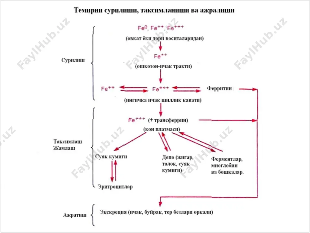 - рида гипохром анемияни профилактикаси нохуш асоратлар: диспепсия, эпигастрал сохада оғриқ тотема глюконат шаклидаги темир, марганец, мис эритмаси ( 1 мл: 5 мг+133 мкг+70 мкг). даволаш даврида аста секин анемиянинг клиник белгилари камаяди (қувватсизлик, чарчоқ, бош айланиши,тахикардия). марга- нец ва мис оксидланиш ва қайтарилиш жа- раёнларида қатнашувчи ферментлар тарки- бига киради. кўрсатмалар:гипохром анемияни профи- лактикаси ва даволаш(хомиладорлик, эгизак лар, анемияси бор аёл туққан болалар) нохуш таъсири: диспепсия(кунгил айнаш, қайт қилиш,қабзият, қоринда оғриқ) феррогематоген альбумин,аскорбин к-та, пиридоксин,фолиев к-та,темир ва мис сульфат (2,375 г, 50 мг,2мг 100 мкг, 5 мг, 250 мкг).таркибий қисмлари те- мирни тезроқ ва тўла сўрилишига имкон бе- ради. кўрсатмалар: ўсиш даврида,сурункали гас- трит (гипоацид, анацид),эимизиш даврида, жисмоний, рухий зўриқиш, гипотрофия. нохуш таъсири: камдан кам аллергик реак- ция бўлиши мумкин
