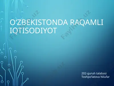 raqamli iqtisodiyot — PPTX