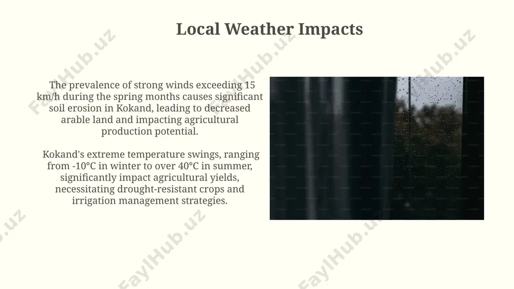 kokand weather - Page 4