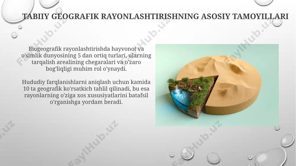 tabiiy geografik rayonlashtirish - Page 5