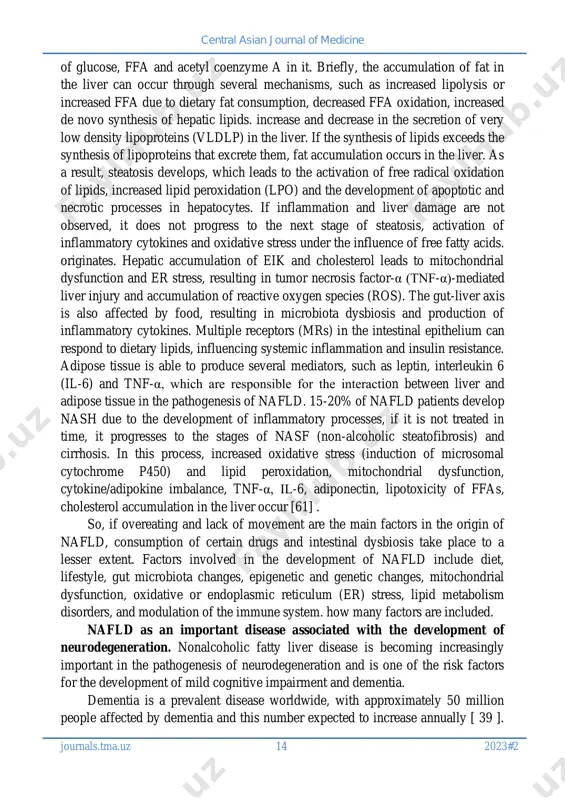ociated with insulin resistance, hyperammonemia, vascular dysfunction, gut microbiota disruption, inflammation, and other features observed in patients with nafld [55]. phenotopic manifestation of nafld is associated with obesity. obesity has been shown to increase the risk of developing cognitive decline and alzheimer's disease six times in adulthood and middle age. also, obesity in middle age significantly increases the risk of dementia and alzheimer's disease, unlike obesity in later life [2; 38; 57]. pathogenesis of nafld. triglycerides (tg) are the main lipid components of the liver, and their accumulation in the liver is observed due to the entry of free fatty acids (ffa) into the liver or an increase in the synthesis of fatty acids from acetyl coenzyme a in the liver itself. the pathogenesis of nafld is multifactorial, but insulin resistance and obesity are the main factors in the development of this disease. the safest way to store ffas is …