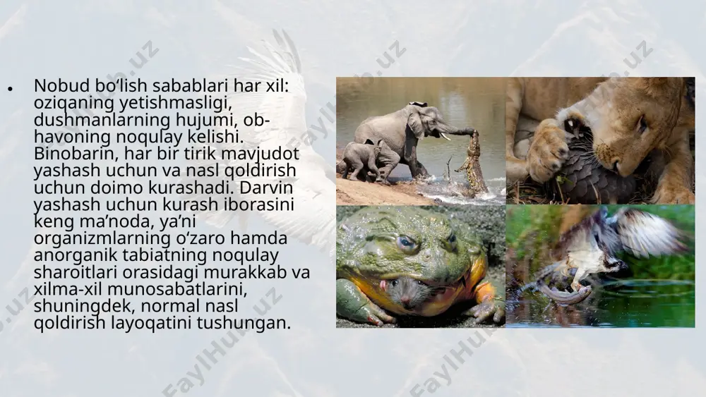 imlilar yashovchan bo‘ladi. ular madaniy osimliklarning rivojlanishiga salbiy ta’sir ko‘r satmasligi uchun (piyoz, sabzi, rediska va boshqalar) o‘toq qilinib, begona o‘tlardan xalos etiladi. zararkunanda hasharotlar – xasva, olma qurti, ko‘sak qurti, shira va hokazolarga qarshi kurashda, mikrofanus, oltin ko‘z, trixogramma, afelimus, tugmachaqong‘izlardan (podoliya), entobakteriyalar tarqatiladi. zararkunanda hasharotlarga qarshi kurashishga hasharotxo‘r qushlar, chunonchi, chug‘urchuq, chittak va boshqalar jalb qilinadi. chetdan changlanuvchi o‘simliklardan yuqori hosil olish uchun asalaridan foydalaniladi. image2.jpeg image3.jpeg image4.jpeg image5.jpeg image6.jpeg image7.jpeg image8.jpeg image9.jpeg image10.jpeg image11.jpeg image12.jpeg image13.jpeg image1.jpeg