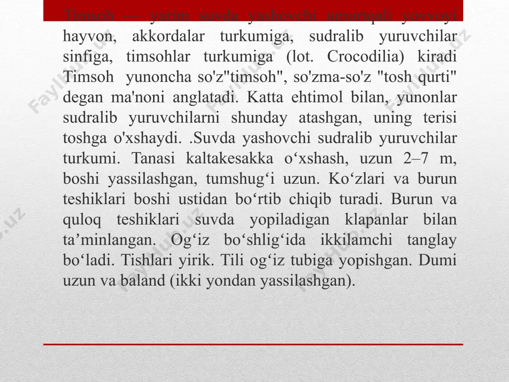 timsohlar - Page 3
