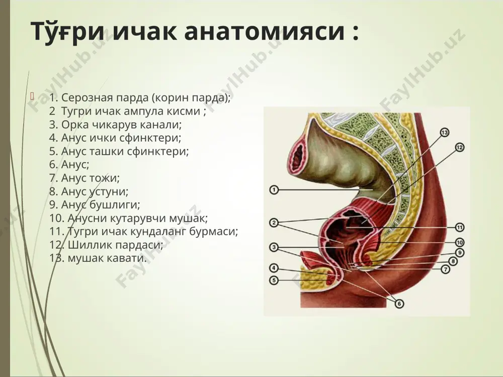 гунчаларида кўплаб метастазлар аникланади. iv боскич -ўсманинг ўлчами турлича бўлиб, атрофдаги аъзоларга ўсиб кирган, лекин регионар метастазлар йўк ёки узоклашган метастазлар бор. клиник манзараси. йўгон ичак саратонининг эрта белгилари (%) белгилари ичак- нинг ўнг ярми ичак- нинг чап ярми ­огрик иштаханинг йуколиши кўнгил айниши кекириш кусиш, кориннинг дам бўлиши кабзиятлар ич кетиши ич тутилиши ажралмалар(кон, шиллик) анемия иситма чикиши холсизлик озиш пайпасланадиган ўсма 90,0 59,7 40,7 21,8 6,3 6,9 9,2 4,1 1,7 68,4 18,9 56,9 2,9 10,2 35,8 10,4 9,4 6,6 1,9 38,7 46,2 8,5 19,8 30,2 16,0 8,5 7,5 0,9 ташхисоти. сўраб-суриштириш. объектив текширишлар. лаборатория текширувлари (кон тахлили ва нажасни яширин конга текшириш диагностик ахамиятга эга). ректороманоскопия. рентгенологик текшириш (ирригоскопия). колоноскопия. сонография. компьютер томография. радионуклид-сцинтиграфия. бармок билан текшириш. аденоматозли полип. йугон ва тугри ичакнинг оилавий полипози 100% ирсийланади ректал карцинома. купчилик беморларда бу касаллик кечки боскичларда намоён булади ендоскопик текширув натижалари (колоректал ракнинг хар-хил вариантлари) аденокарцинома 1: йомон сифатли …