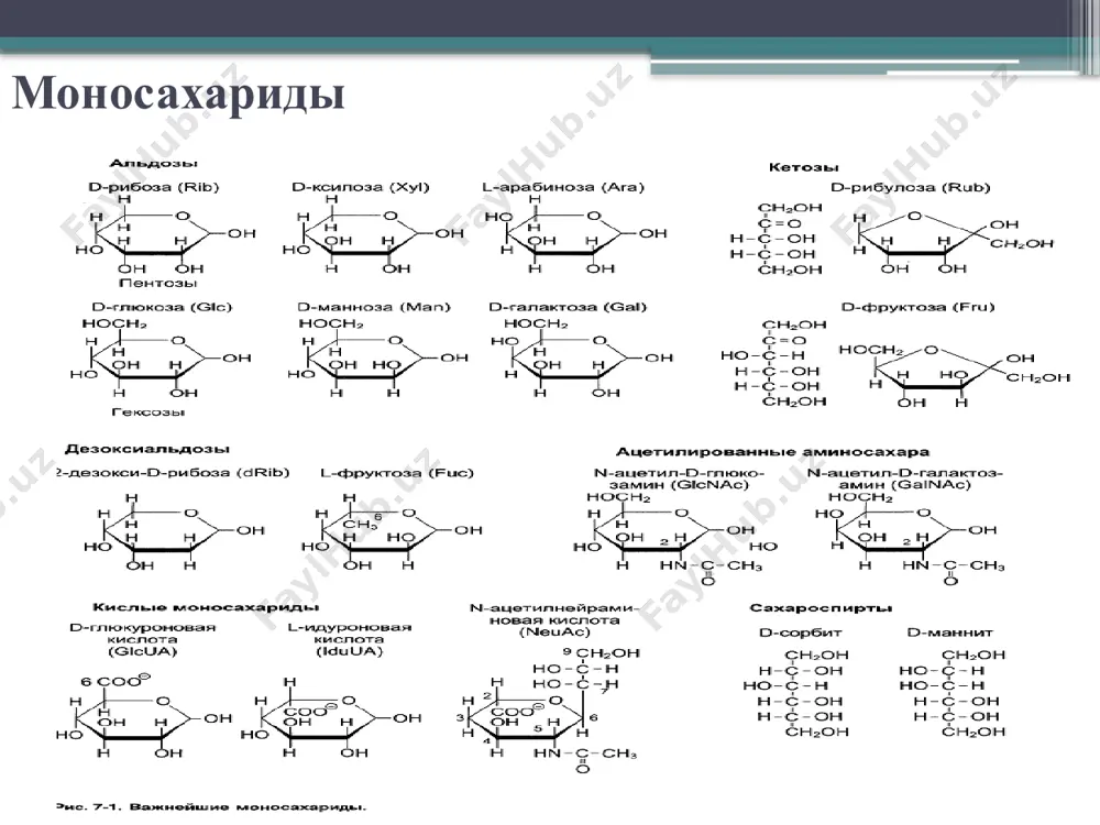 кда). енгиллашган диффузия. унинг рецепторлари барча тўқималарда мавжуд (глюкоза транспортерлари, глют). тўқималарда 5 хил глют мавжуд, улар турли тўқималарда жойлашган. транспорт глюкозы из крови в клетки глюкоза поступает из кровотока в клетки путём облегчённой диффузии с помощью белков-переносчиков - глютов. глюкозные транспортёры глюты имеют доменную организацию и обнаружены во всех тканях. выделяют 5 типов глютов: глют-1 - преимущественно в мозге, плаценте, почках, толстом кишечнике; глют-2 - преимущественно в печени, почках, β-клетках поджелудочной железы, энтероцитах, есть в эритроцитах. имеет высокую км; глют-3 - во многих тканях, включая мозг, плаценту, почки. обладает большим, чем глют-1, сродством к глюкозе; глют-4 - инсулинзависимый, в мышцах (скелетной, сердечной), жировой ткани; глют-5 - много в клетках тонкого кишечника, является переносчиком фруктозы. хужайрага глюкозанинг транспорт қилиниши нарушение переваривания углеводов недостаточное переваривание и всасывание переваренных продуктов называют мальабсорбцией, причины двух типов: 1). наследственные и приобретенные дефекты ферментов, участвующих в переваривании. известны наследственные дефекты лактазы, α-амилазы, сахаразно-изомальтазного комплекса. без …