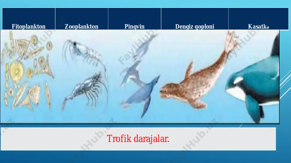 ekosistemalar va biologik muvozanat - Page 5