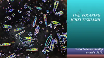 poyaning ichki tuzilishi. 5 - sinf — PPT