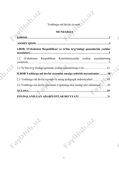 yoshlarga oid davlat siyosati — DOCX