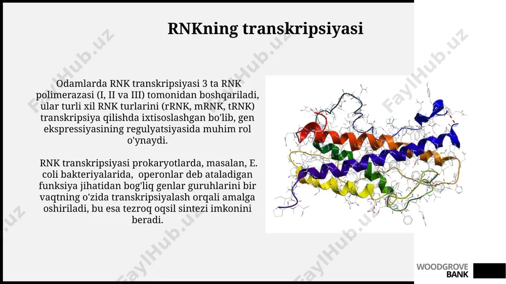dnk va rnk - Page 5